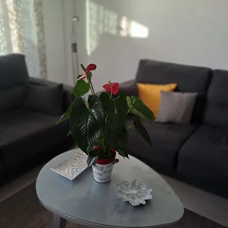 Luxury Tagara 아파트 푸에르토 데 산티아고